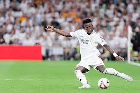 会不仅见证 会不仅见证